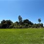 Huntington Library, Art Museum, and Botanical Gardens