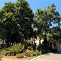 Huntington Library, Art Museum, and Botanical Gardens