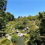 Huntington Library, Art Museum, and Botanical Gardens