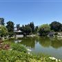 Huntington Library, Art Museum, and Botanical Gardens