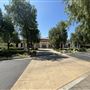 Huntington Library, Art Museum, and Botanical Gardens