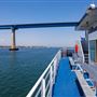 Adventure Hornblower @ Port of San Diego - City Cruises