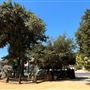 Los Encinos State Historic Park (SHP) adjacent to currently closed Lakeside Restaurant & Lounge