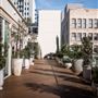 Savanna Rooftop