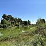 Woodley Lakes Golf Course