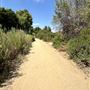 Sepulveda Basin Wildlife Preserve / Woodley Park