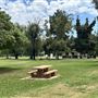 Woodley Park