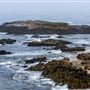 Pescadero State Beach (SB)