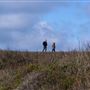 San Gregorio State Beach (SB)