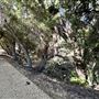 Orcutt Ranch Horticultural Center & Community Garden