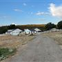 Driftwood Ranch