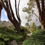 Frederick Loewe Estate
