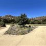 Chatsworth Park South
