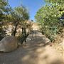 Ed Davis Park in Towsley Canyon - Santa Monica Mountains Conservancy - SMMC