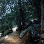 Humber Park
