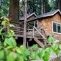 Cedar Crest Cabin on Palomar Mountain