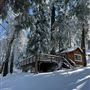 Cedar Crest Cabin on Palomar Mountain