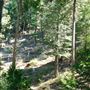 Twin Oaks Cabin on Palomar Mountain