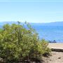 Kings Beach State Recreation Area (SRA)