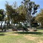 Echo Park Lake Recreation Center