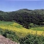 Jalama Road