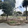 Edward Vincent Park