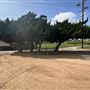 Edward Vincent Park