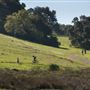 Taylor Mountain Regional Park