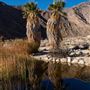 Anza-Borrego Desert State Park (SP)