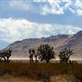 Saddleback Butte State Park (SP)