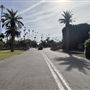 Hollywood Forever Cemetery