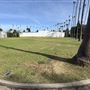 Hollywood Forever Cemetery