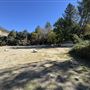 Camp Williams Resort