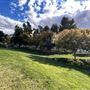 Bouquet Canyon Park