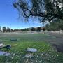 Central Park