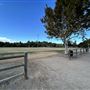 Central Park