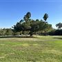 Ken Malloy Harbor Regional Park & Machado Lake