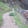 Mendocino Headlands State Park (SP)