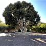 Los Angeles River Center & Gardens - Santa Monica Mountains Conservancy - SMMC