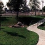 Brea Junior High School Park