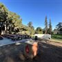 Cheviot Hills Park