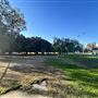 Cheviot Hills Park