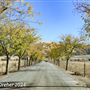 Tejon Ranch