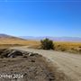 Tejon Ranch