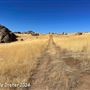 Tejon Ranch