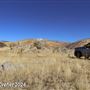 Tejon Ranch
