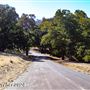 Tejon Ranch