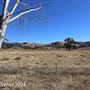 Tejon Ranch