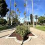 Will Rogers Memorial Park
