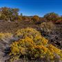 Ahjumawi Lava Springs State Park (SP)